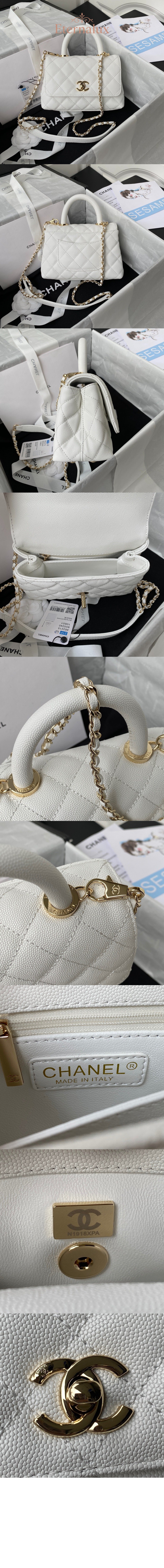 c53e81d29ced9e1a60a328236c7aa608_1760833151_4827.jpg c53e81d29ced9e1a60a328236c7aa608_1760833151_4827.jpg