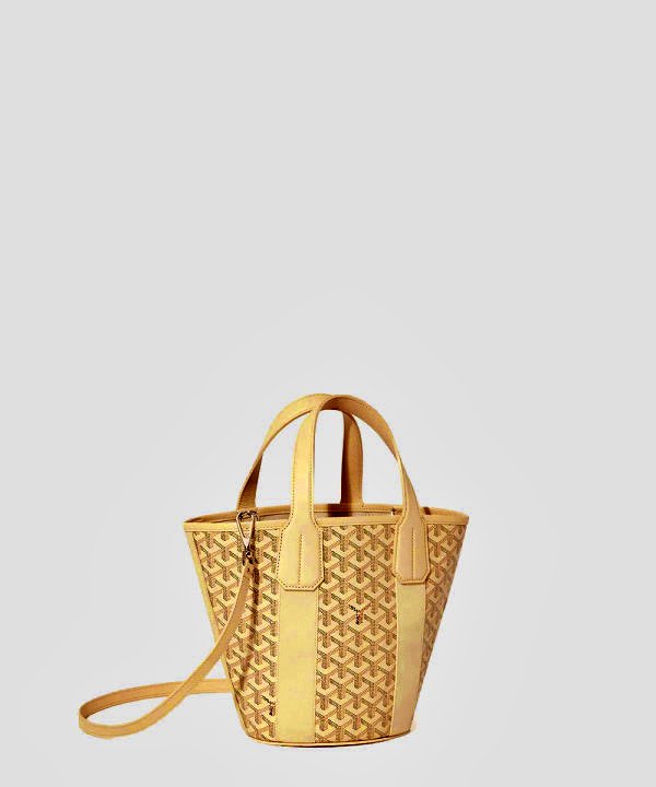 Goyard 벨하라 PM 백