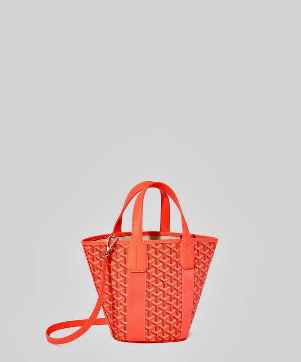 Goyard 벨하라 PM 백