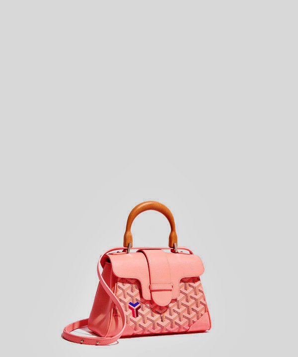 Goyard 사이공백 미니