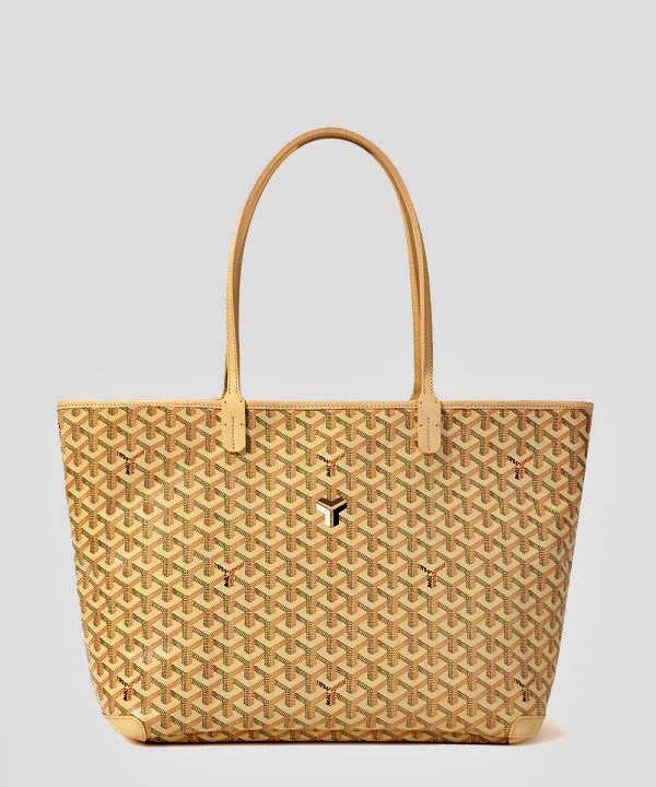 Goyard 아르투아백 MM