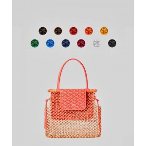 Goyard 알리그르 백