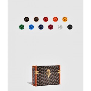 Goyard 카세트 트렁크 백
