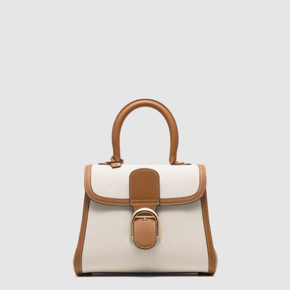 Delvaux 브리앙 PM 캔버스