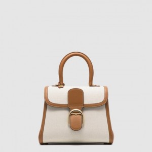 Delvaux 브리앙 PM 캔버스