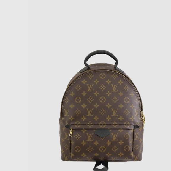 LV 모노그램 캔버스 팜 스프링스 MM M41561