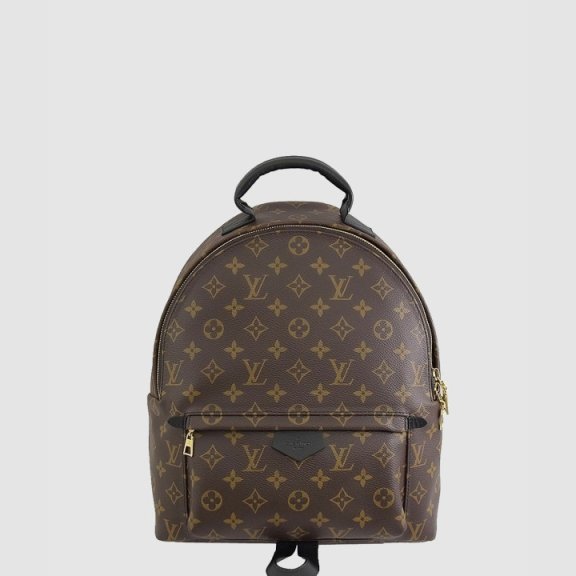 LV 모노그램 팜스프링스 MM M41561