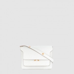 Marni 트렁크백 사피아노 미듐