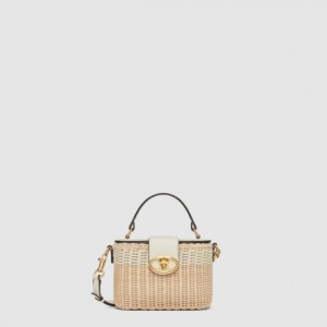 Valentino SIGNATURE 고리 버들 세공 케이스백