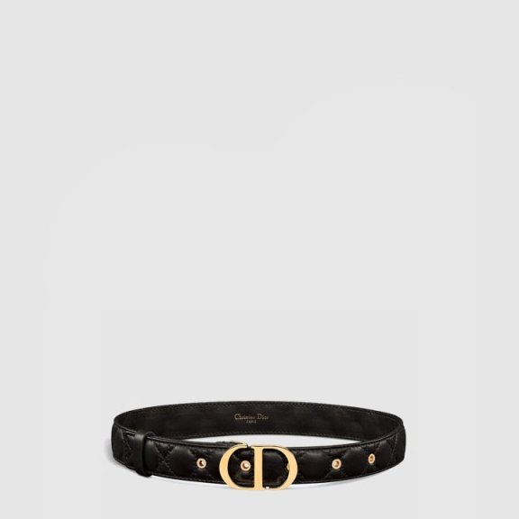 Dior 30 몽테인 벨트 B0436