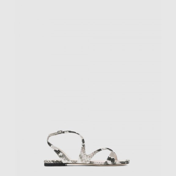 지미추 AYLAFLATPKB