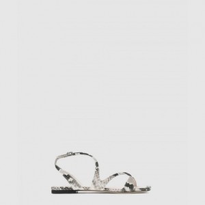 지미추 AYLAFLATPKB