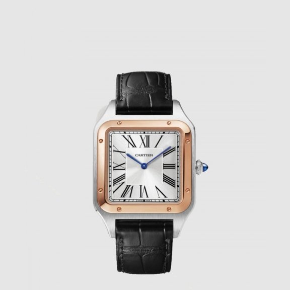 까르띠에 산토스-뒤몽 W2SA0011