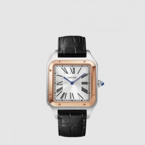 까르띠에 산토스-뒤몽 W2SA0011