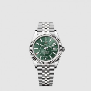 롤렉스 스카이 드웰러 336934