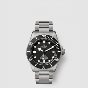 튜더 펠라고스 42 M25600TN