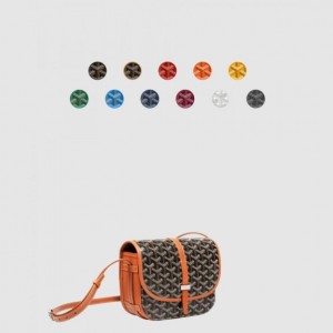 Goyard 벨베데르백 PM